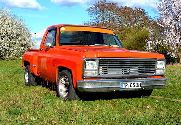 Chevy Pickup Stepside 1976 Chevy Pickup Stepside 1976